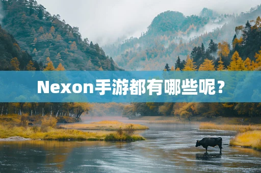 Nexon手游都有哪些呢？